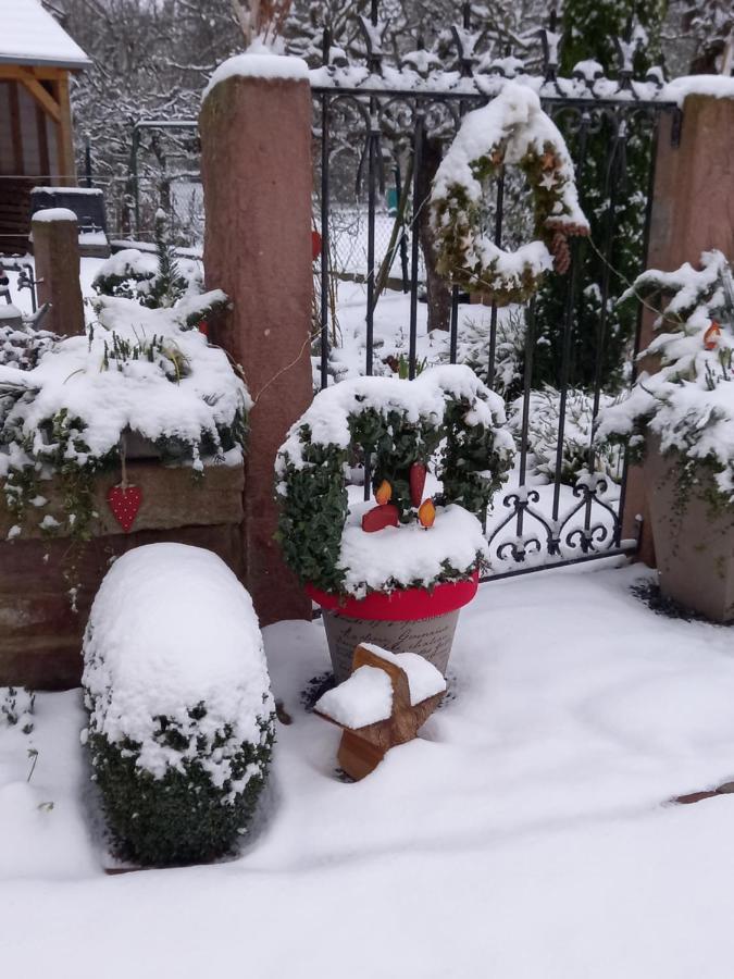 Willa L'Alcove Des P'Tits Coeurs Benfeld Zewnętrze zdjęcie